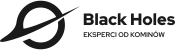 Black Holes